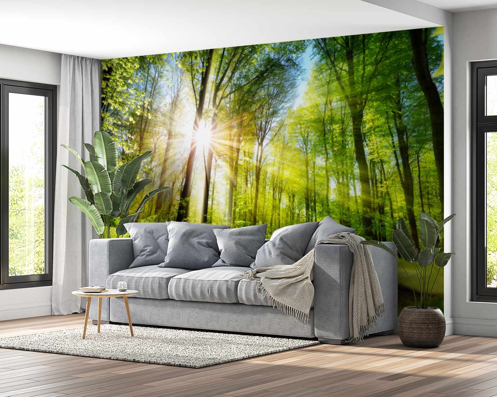 Papier peint une forêt éclairée par le soleil