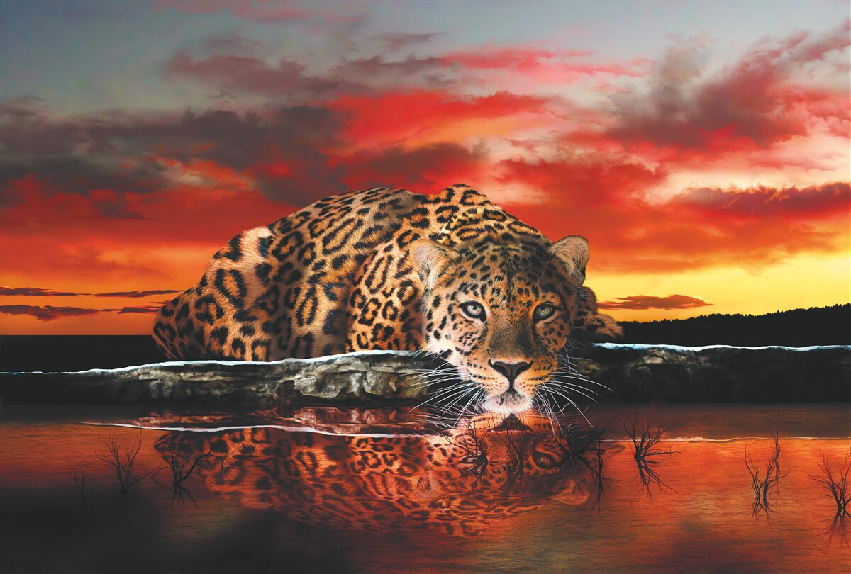 Papier peint un tigre extraordinaire