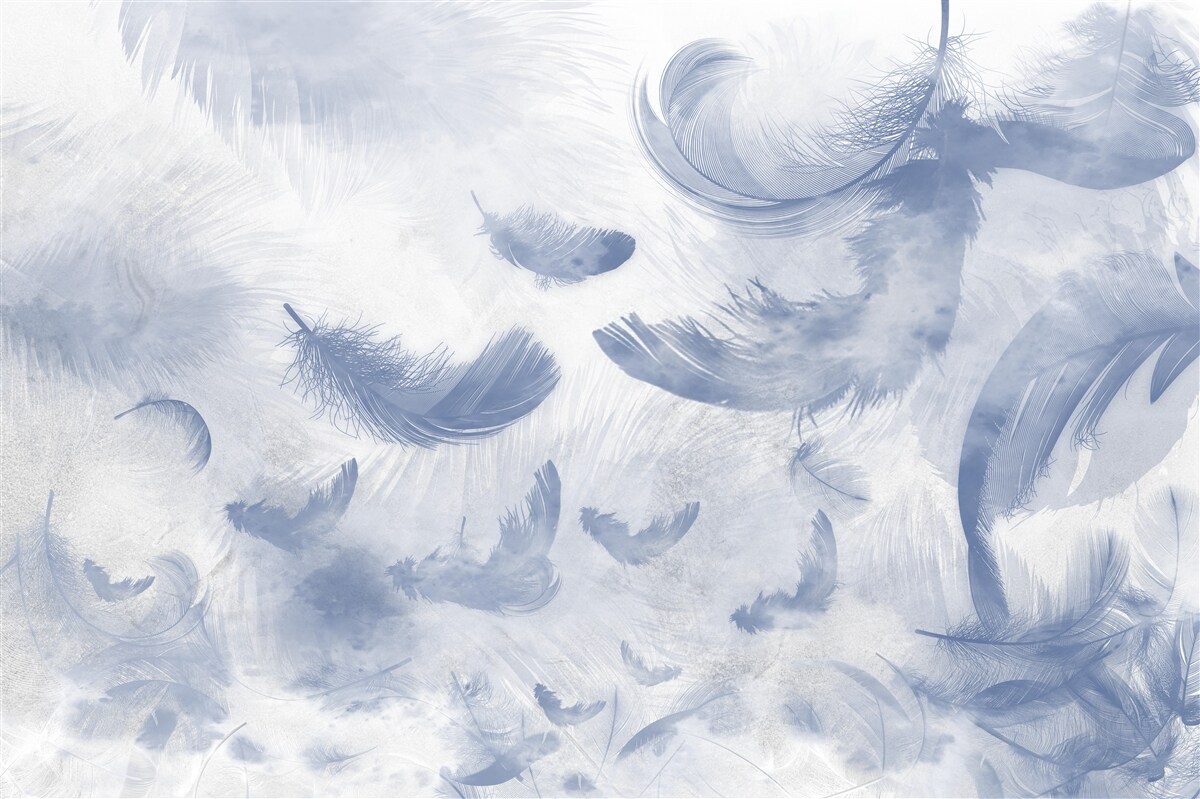 Papier peint des plumes aussi légères que l'air