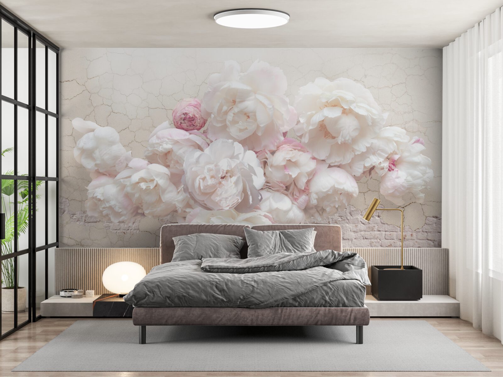 Papier peint Des pivoines blanches comme neige, caressant avec tendresse