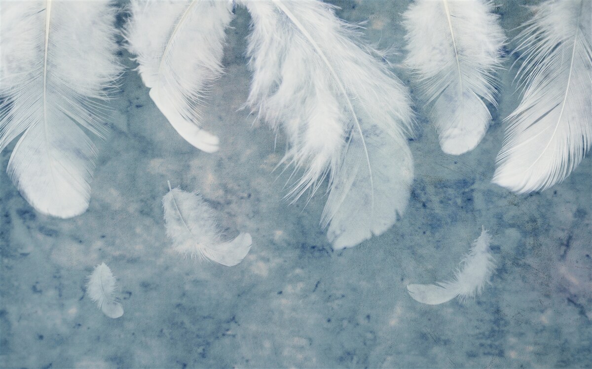 Papier peint le fond bleu met en valeur le stylo