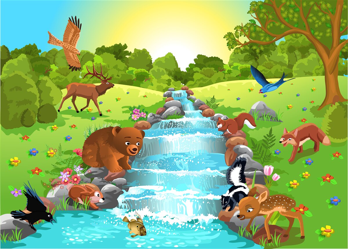 Papier peint animaux au point d'eau