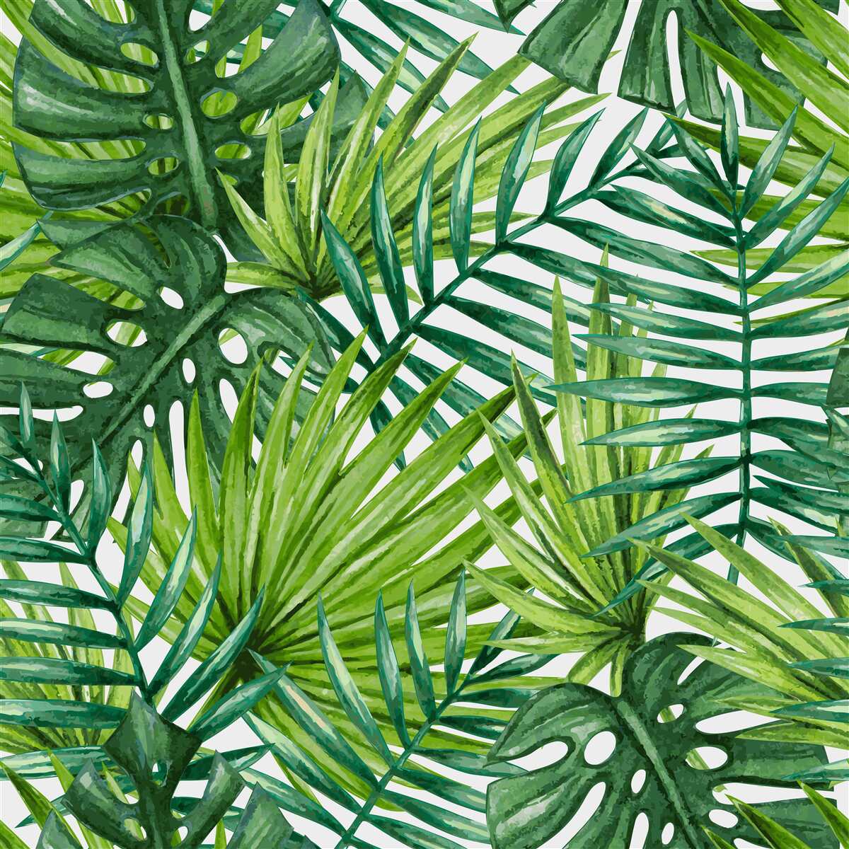 Papier peint plantes tropicales verdoyantes