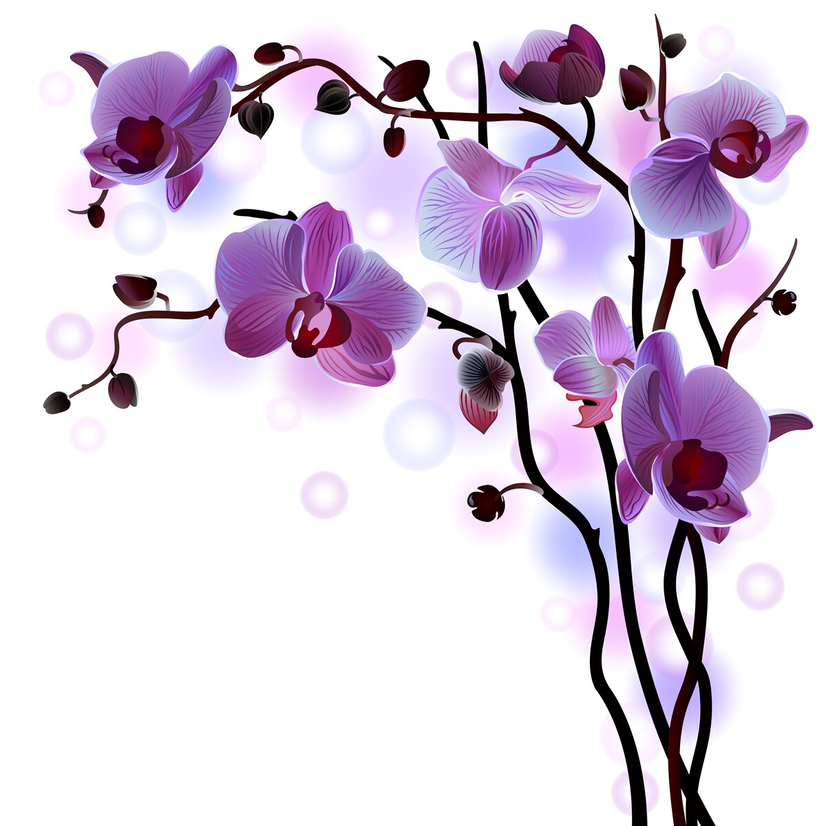 Papier peint branches d'orchidées pourpres