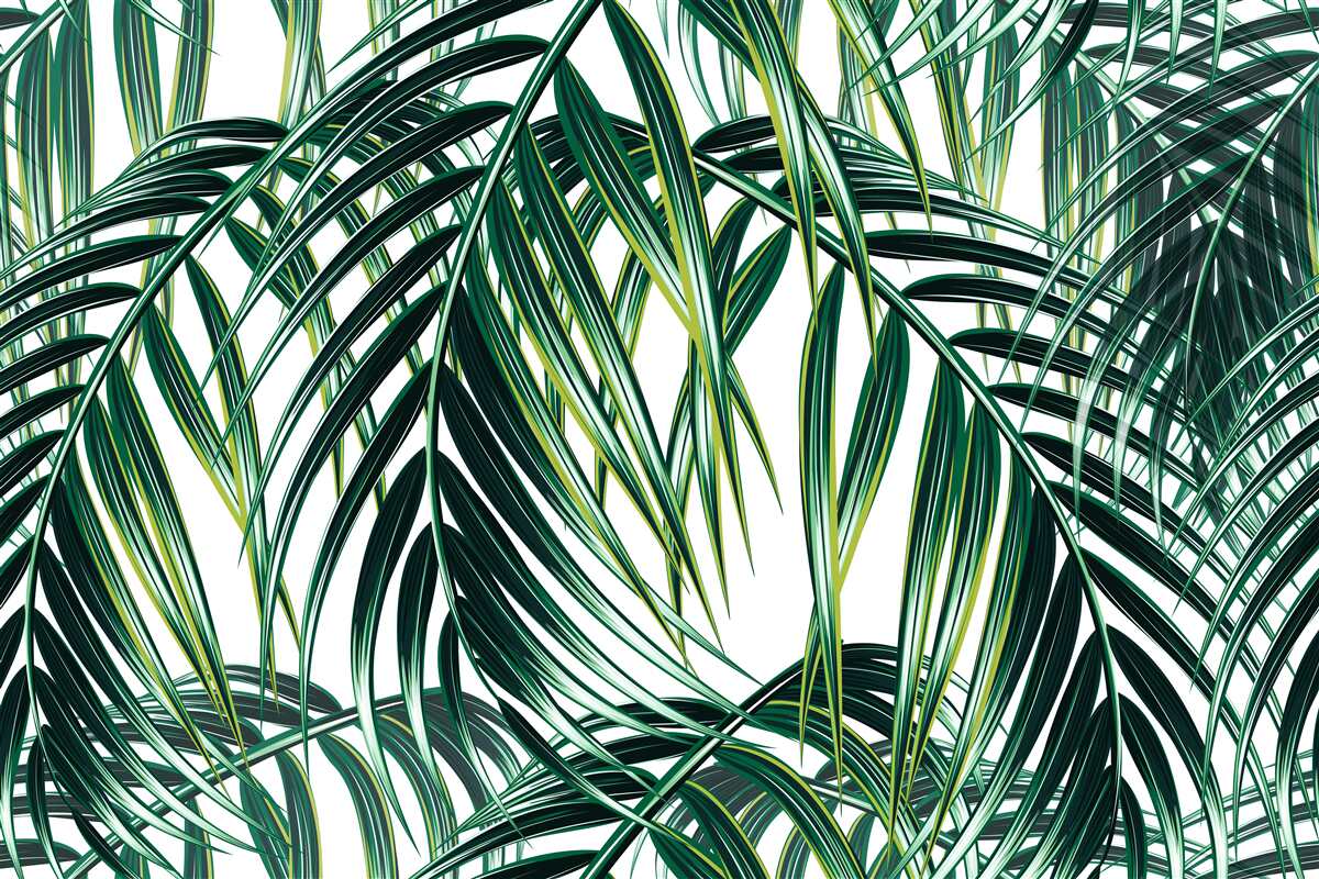 Papier peint fougère verte luxuriante