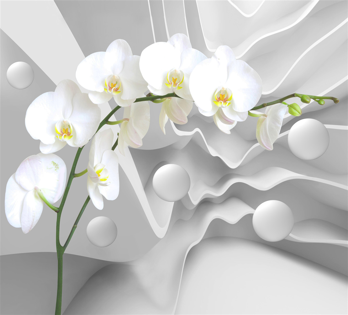 Papier peint abstraction d'une gracieuse orchidée blanche