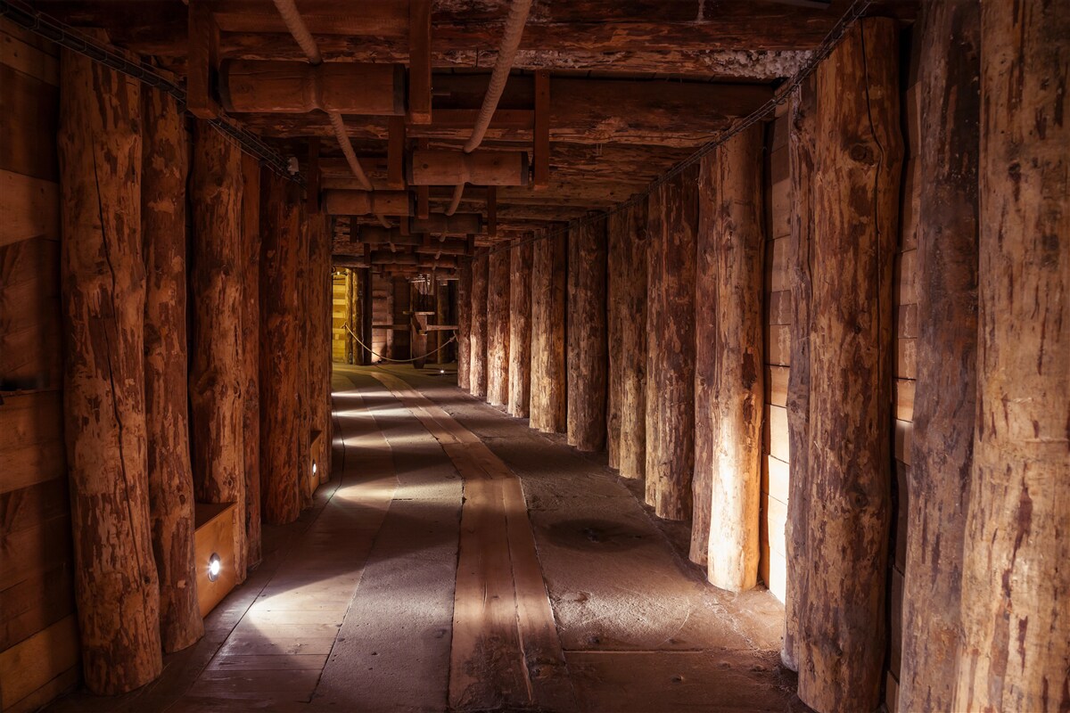 Papier peint couloir souterrain en bois