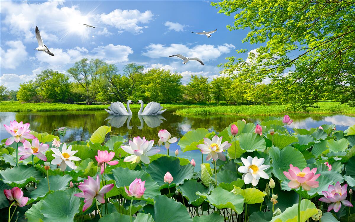Papier peint forêt près de l'eau et fleurs d'été