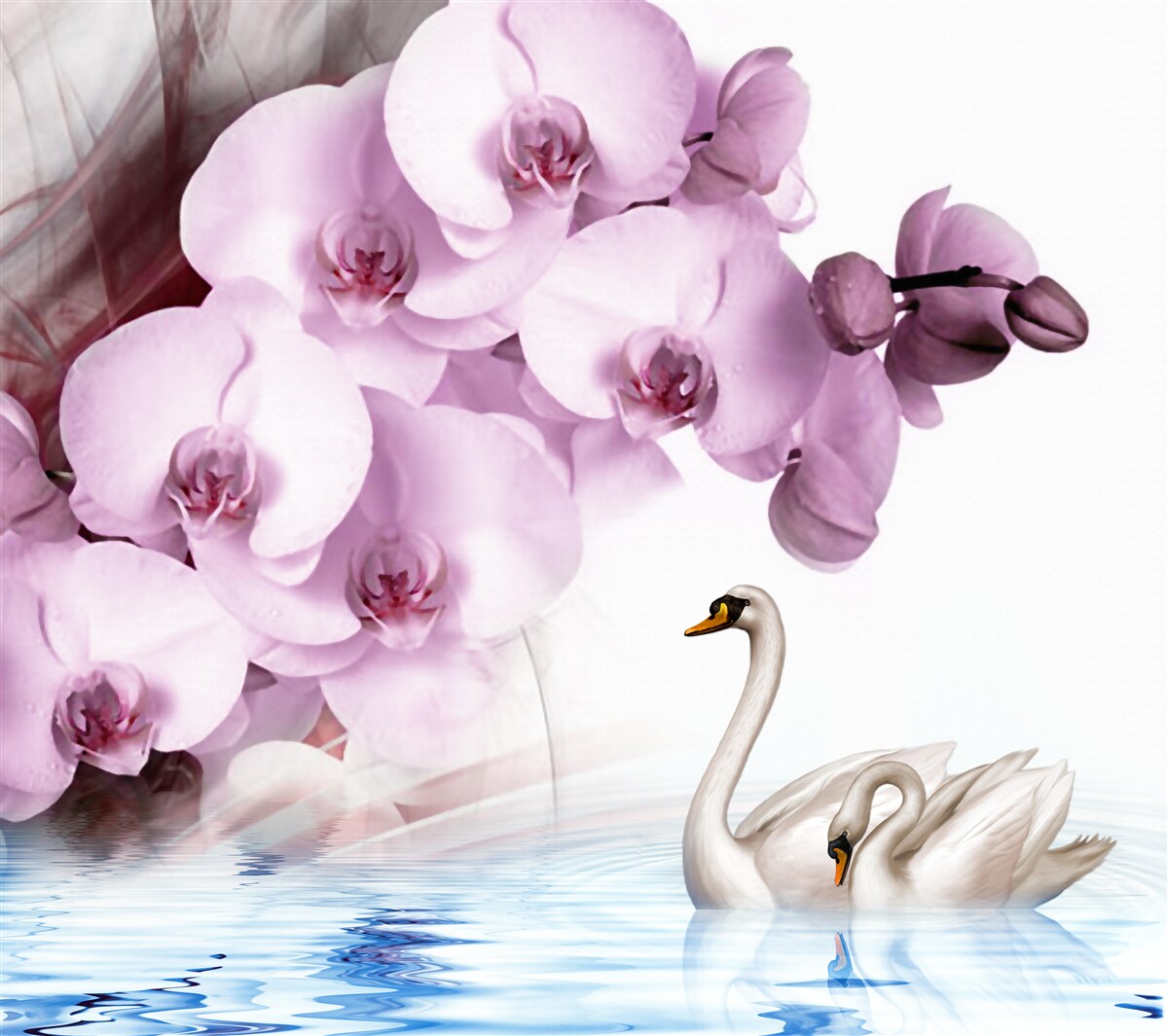 Papier peint des cygnes à la surface de l'eau et une délicate fleur d'orchidée lilas