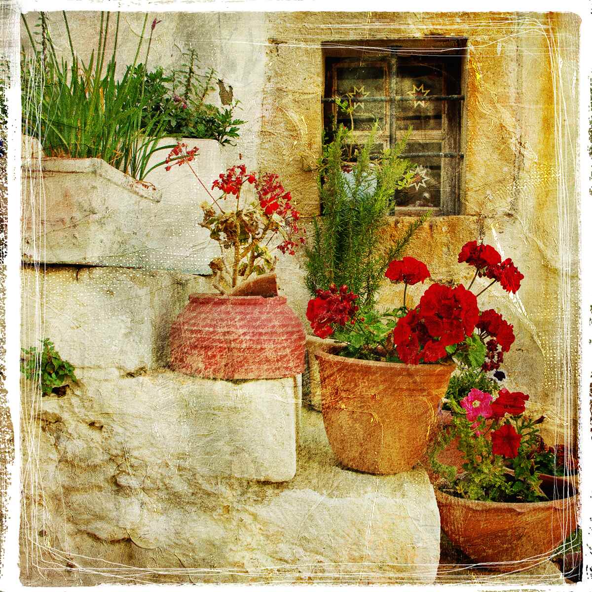 Papier peint pots de fleurs sur les marches en pierre
