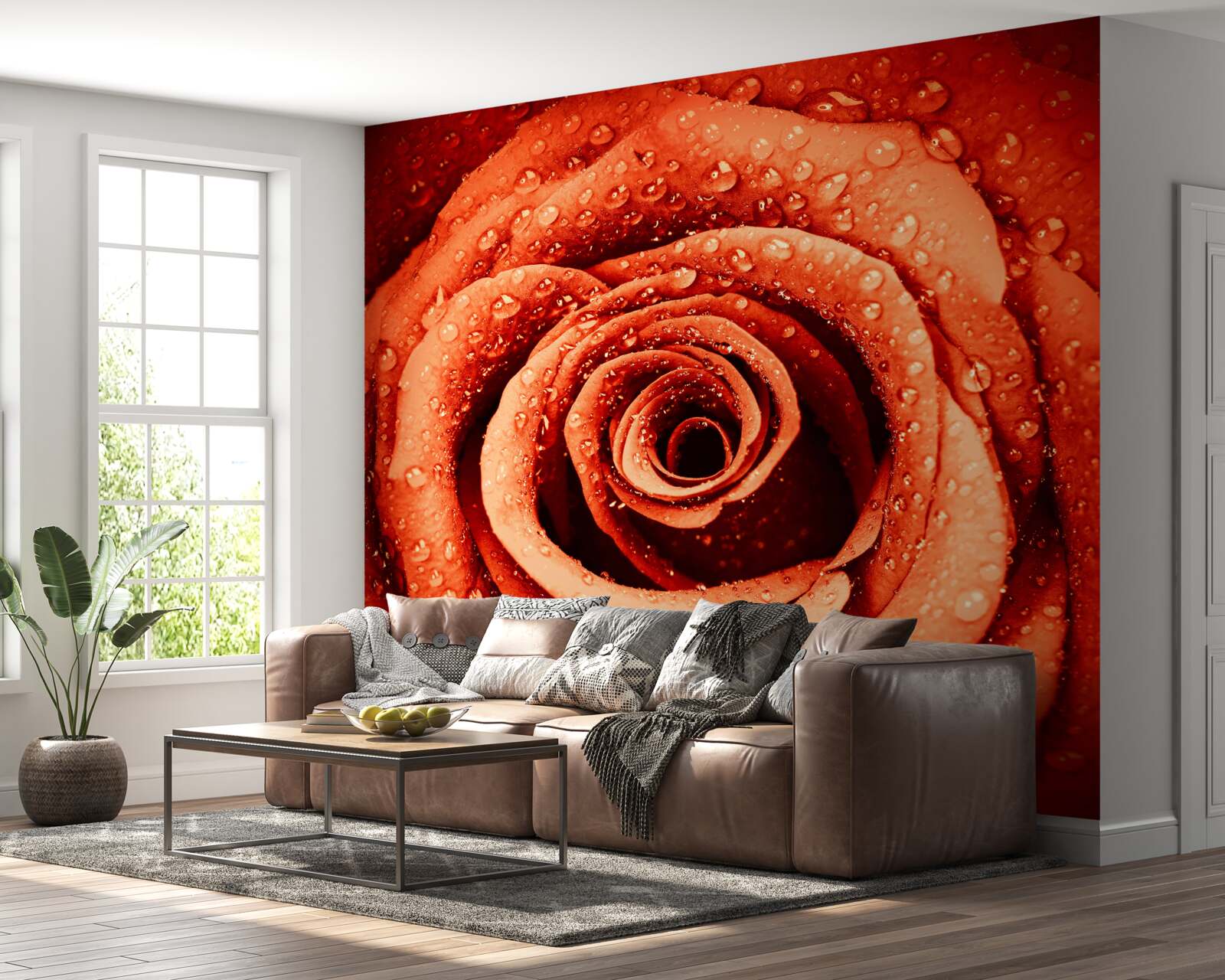Papier peint gouttes de rosée sur un pétale de rose écarlate