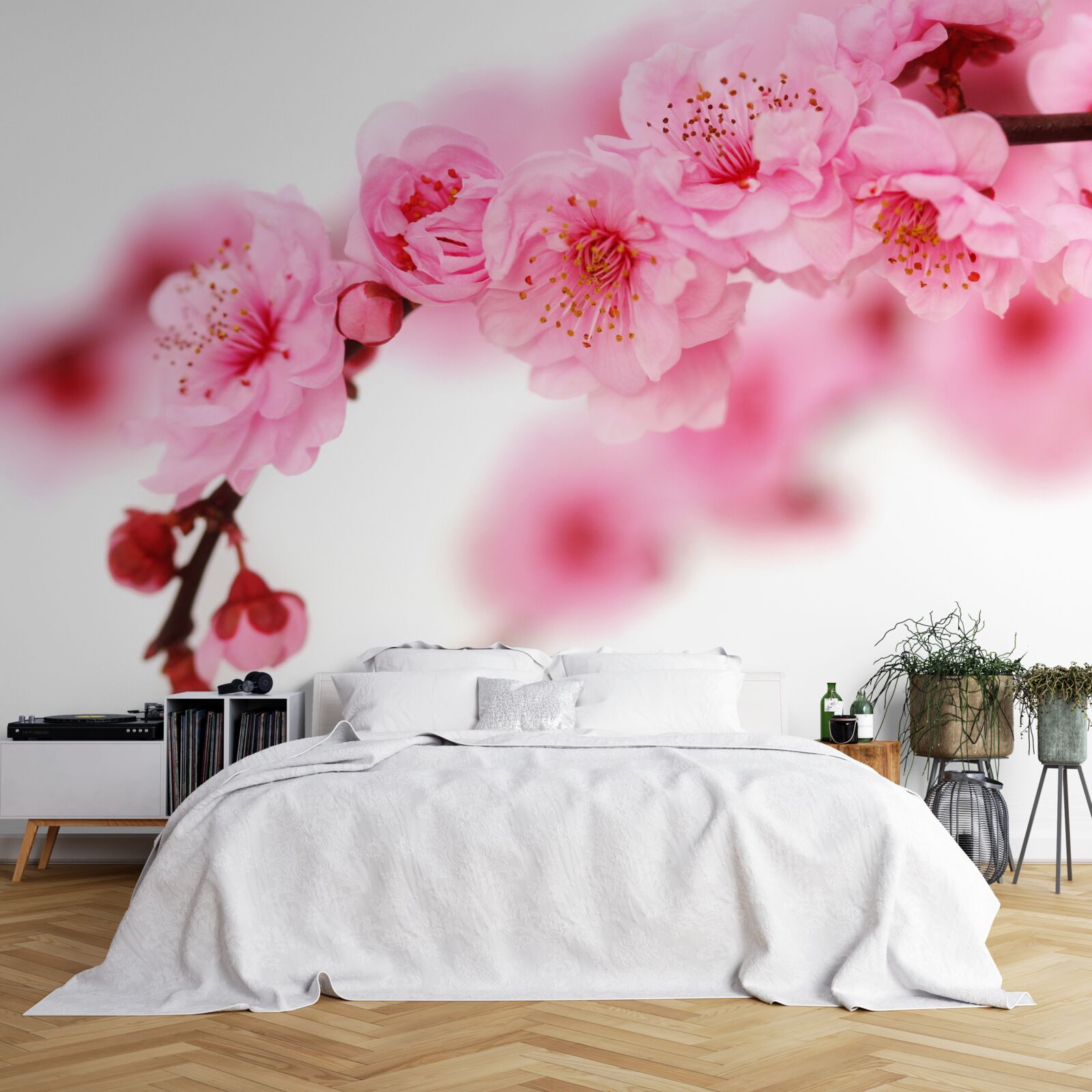 Papier peint La branche rose de sakura se trouve près de l'eau
