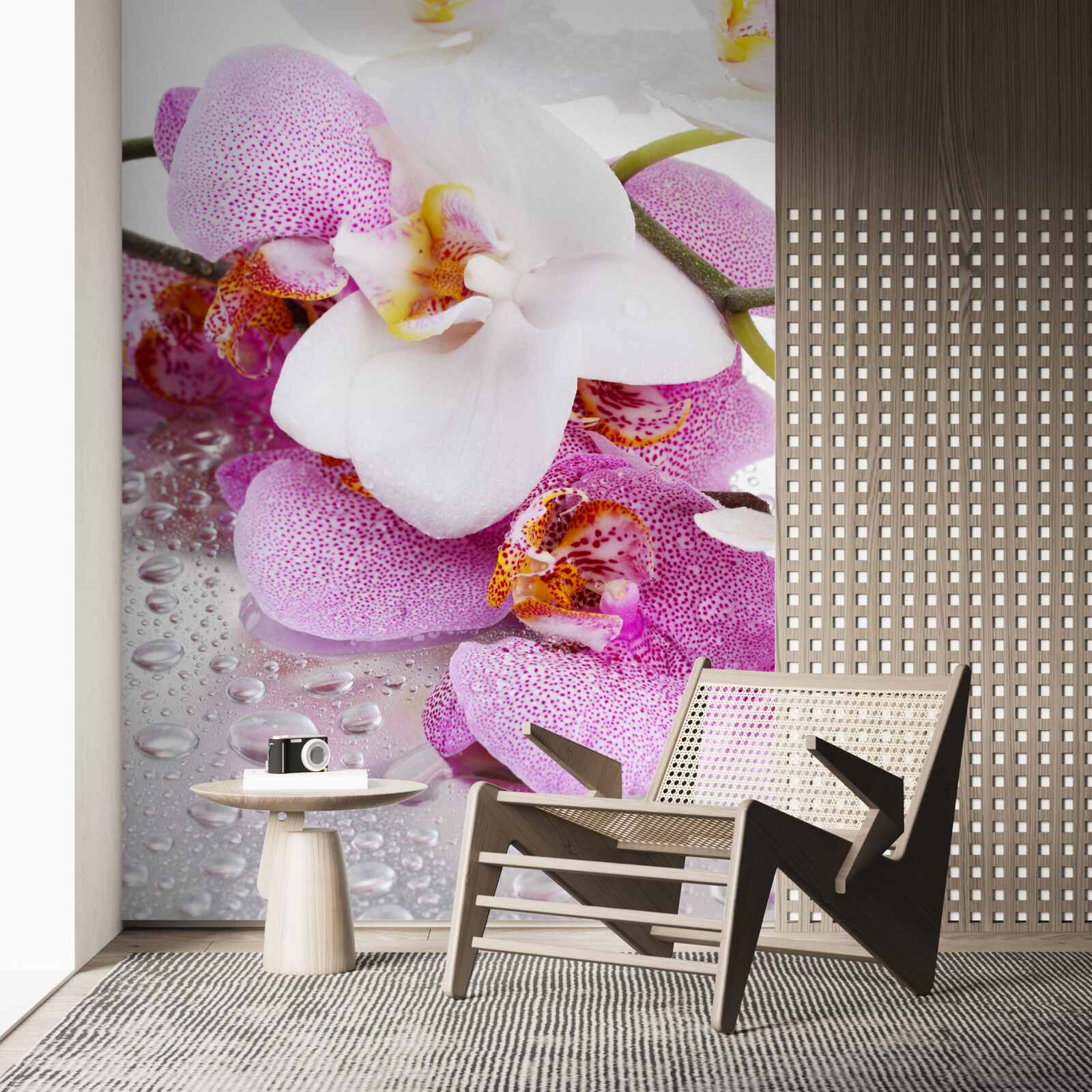Papier peint orchidées à pétales blancs et roses