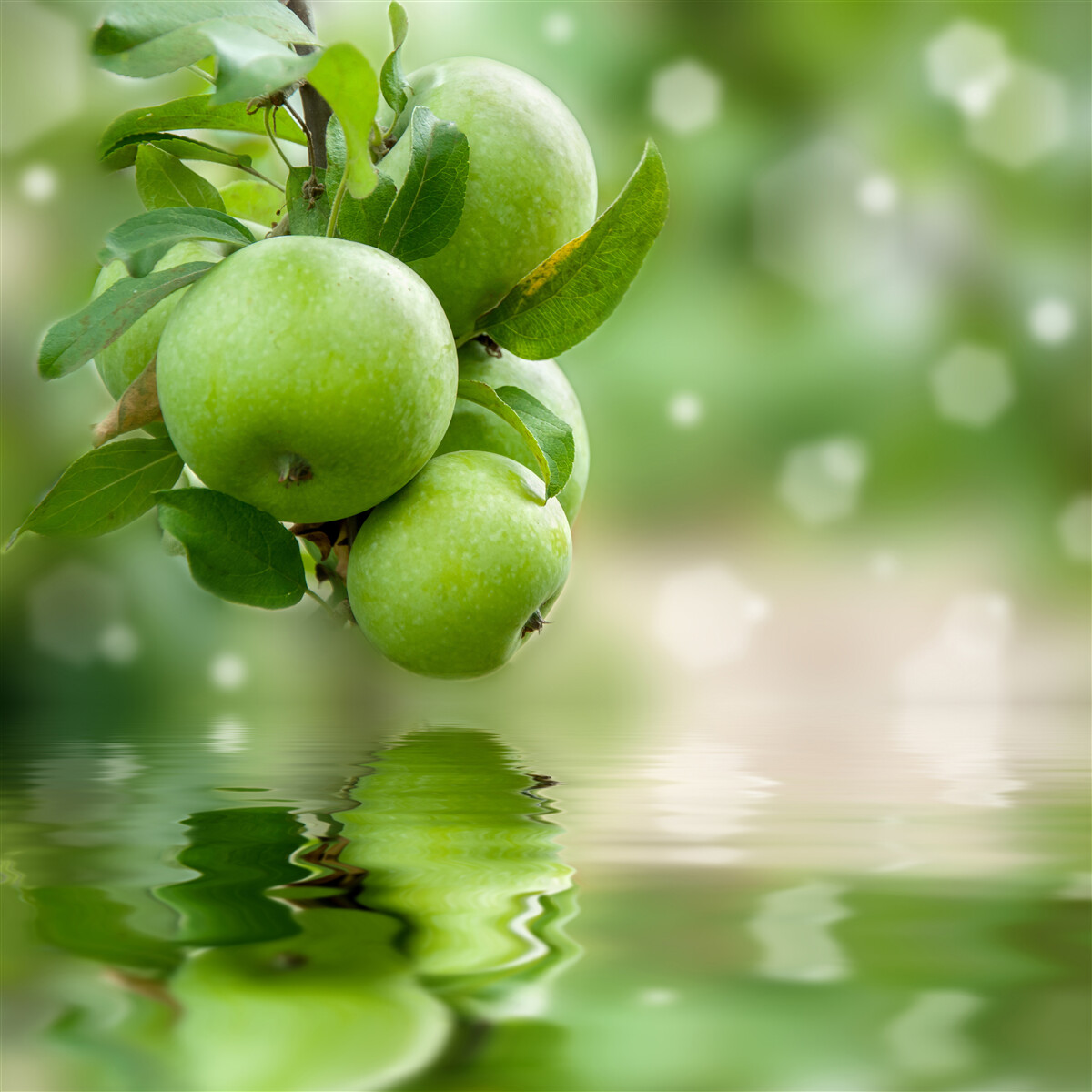 Papier peint pommes vertes se reflétant dans l'eau