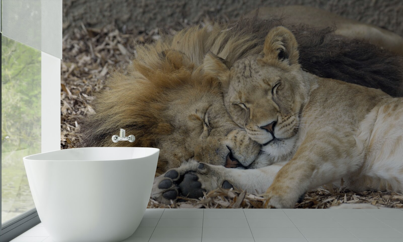 Papier peint lion se reposant à côté d'une tigresse sur des feuilles mortes