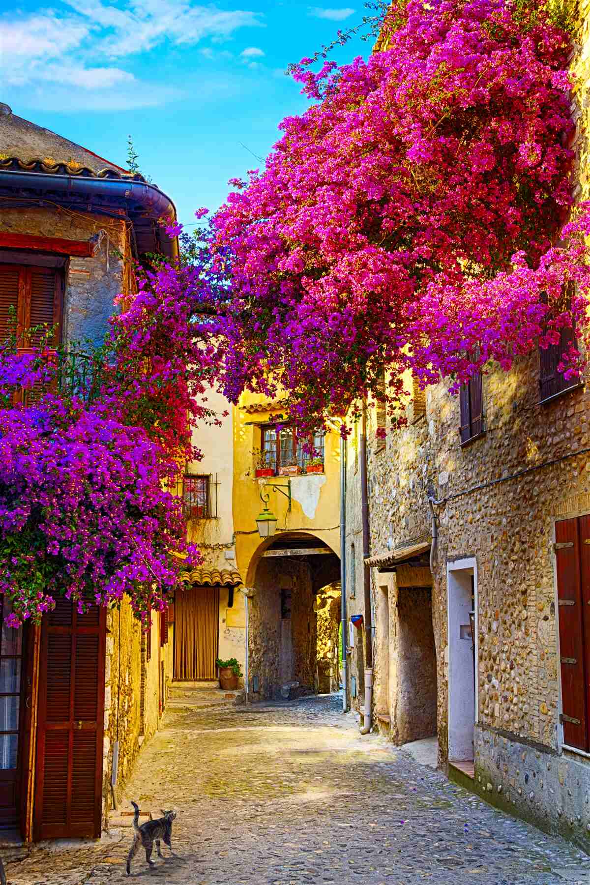 Papier peint des fleurs violettes ornent les murs de la ville ancienne