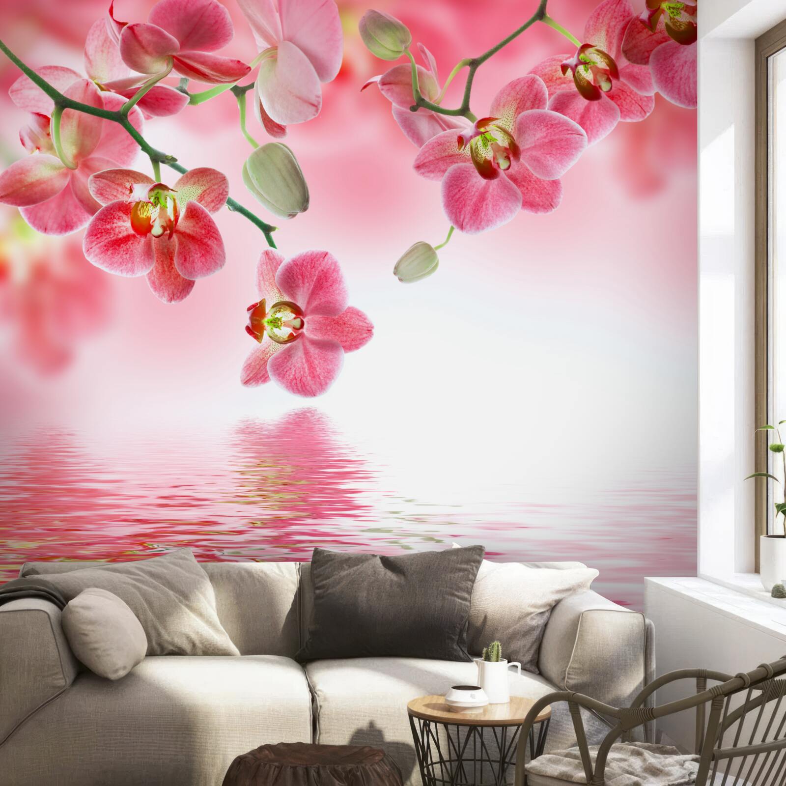 Papier peint une orchidée rouge est suspendue à un arbre au-dessus de l'eau