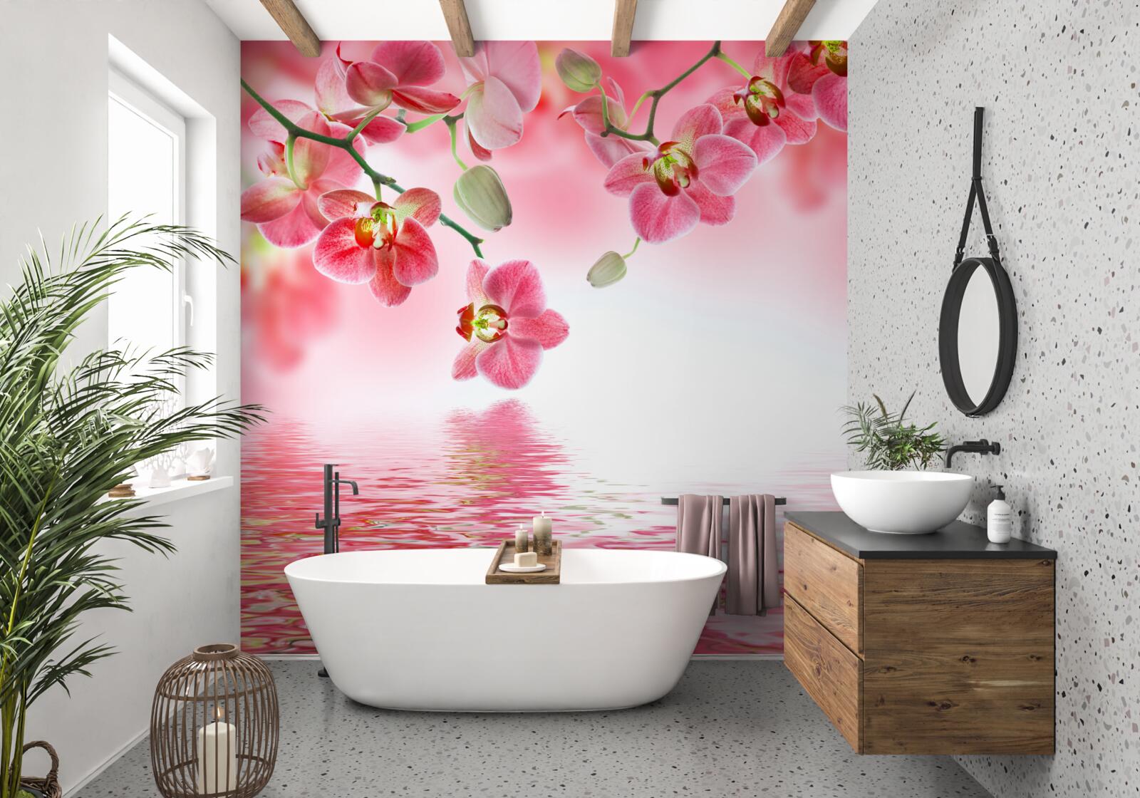 Papier peint une orchidée rouge est suspendue à un arbre au-dessus de l'eau