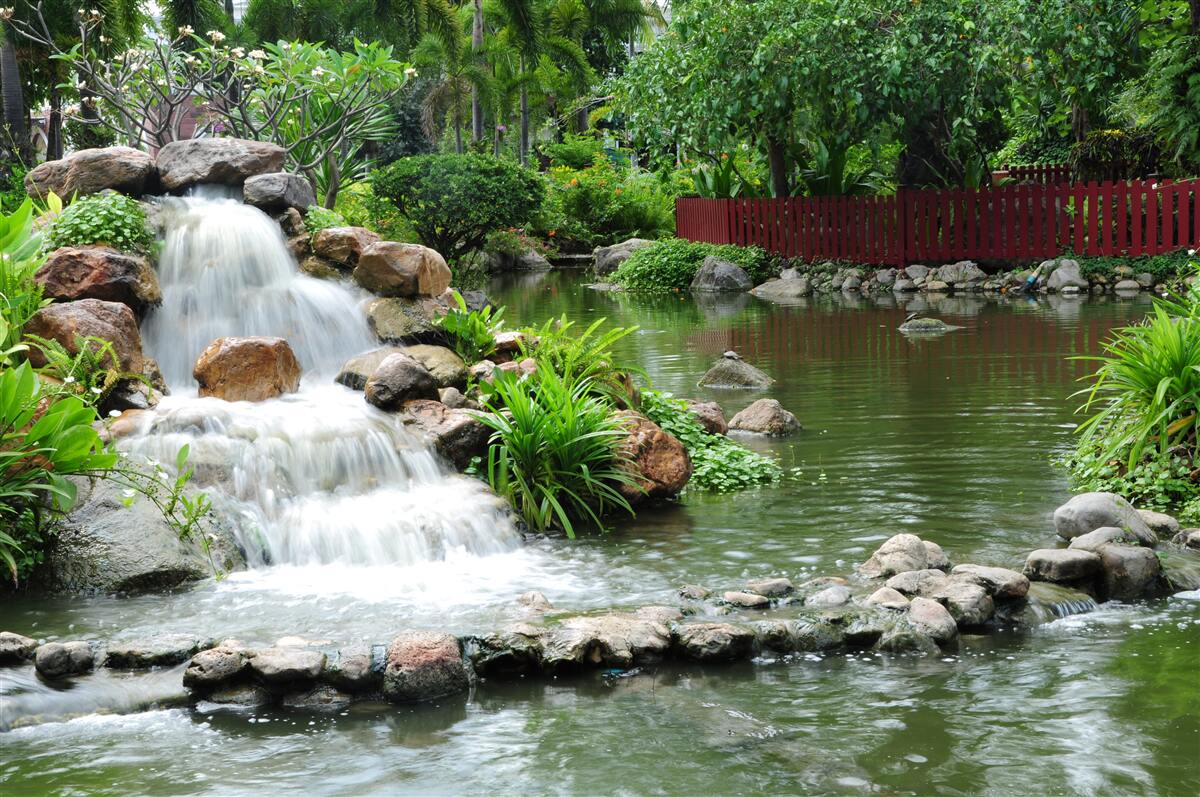 Papier peint une petite cascade entourée de verdure
