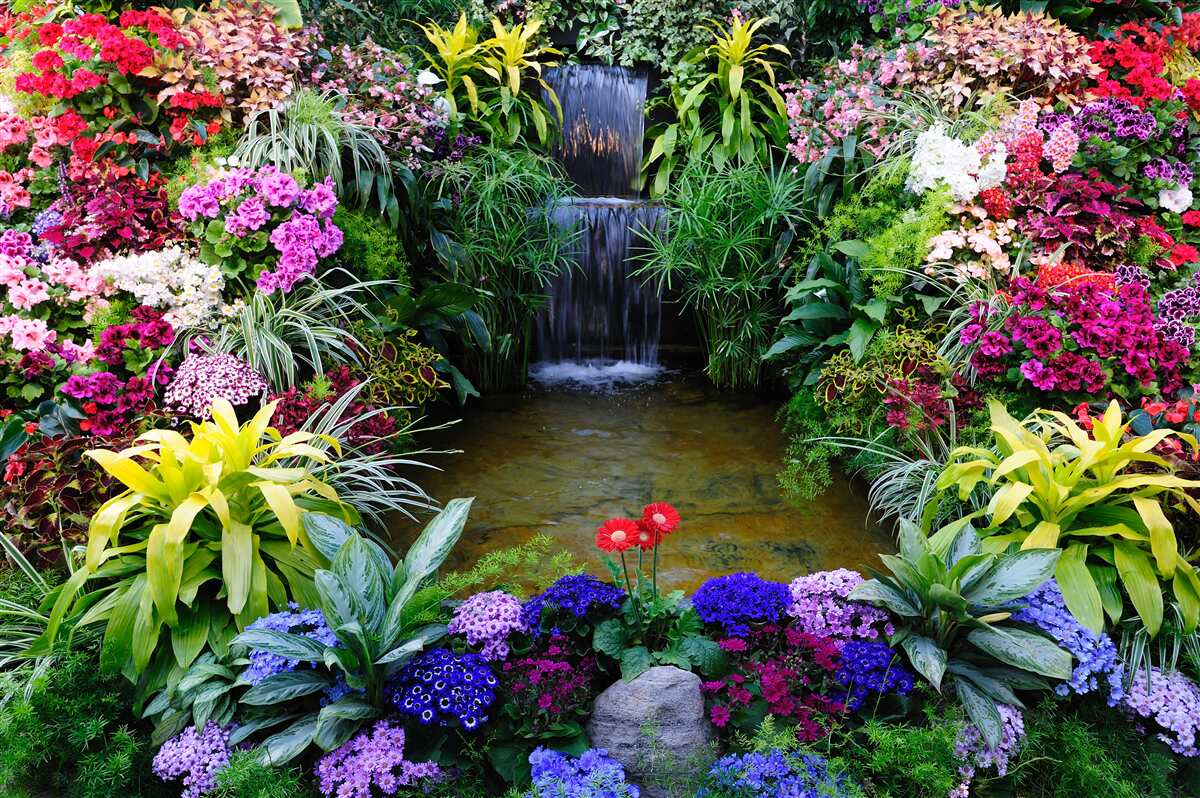 Papier peint fleurs tropicales près d'une cascade de montagne