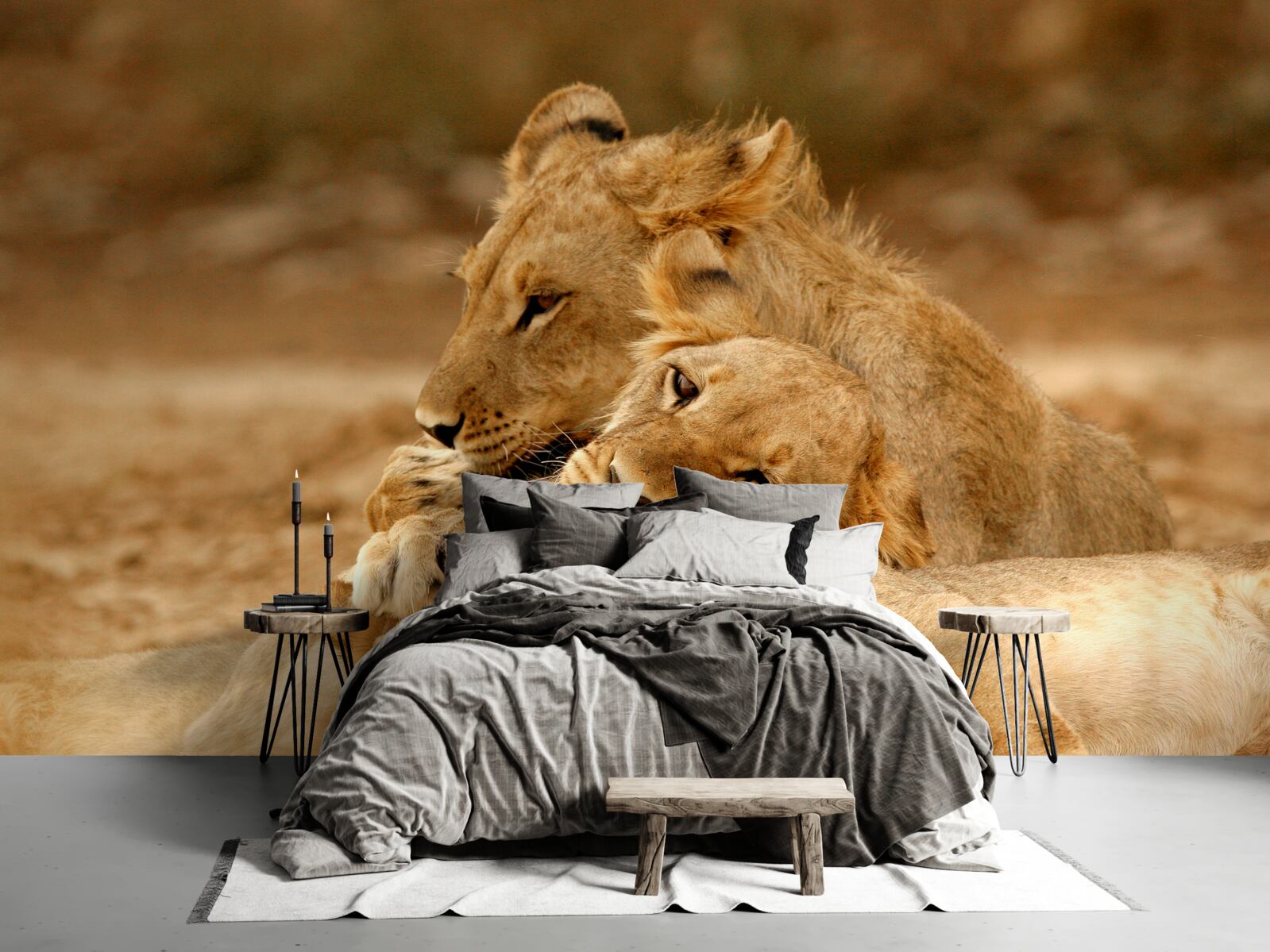 Papier peint une famille de lions s'est installée sur une surface sablonneuse