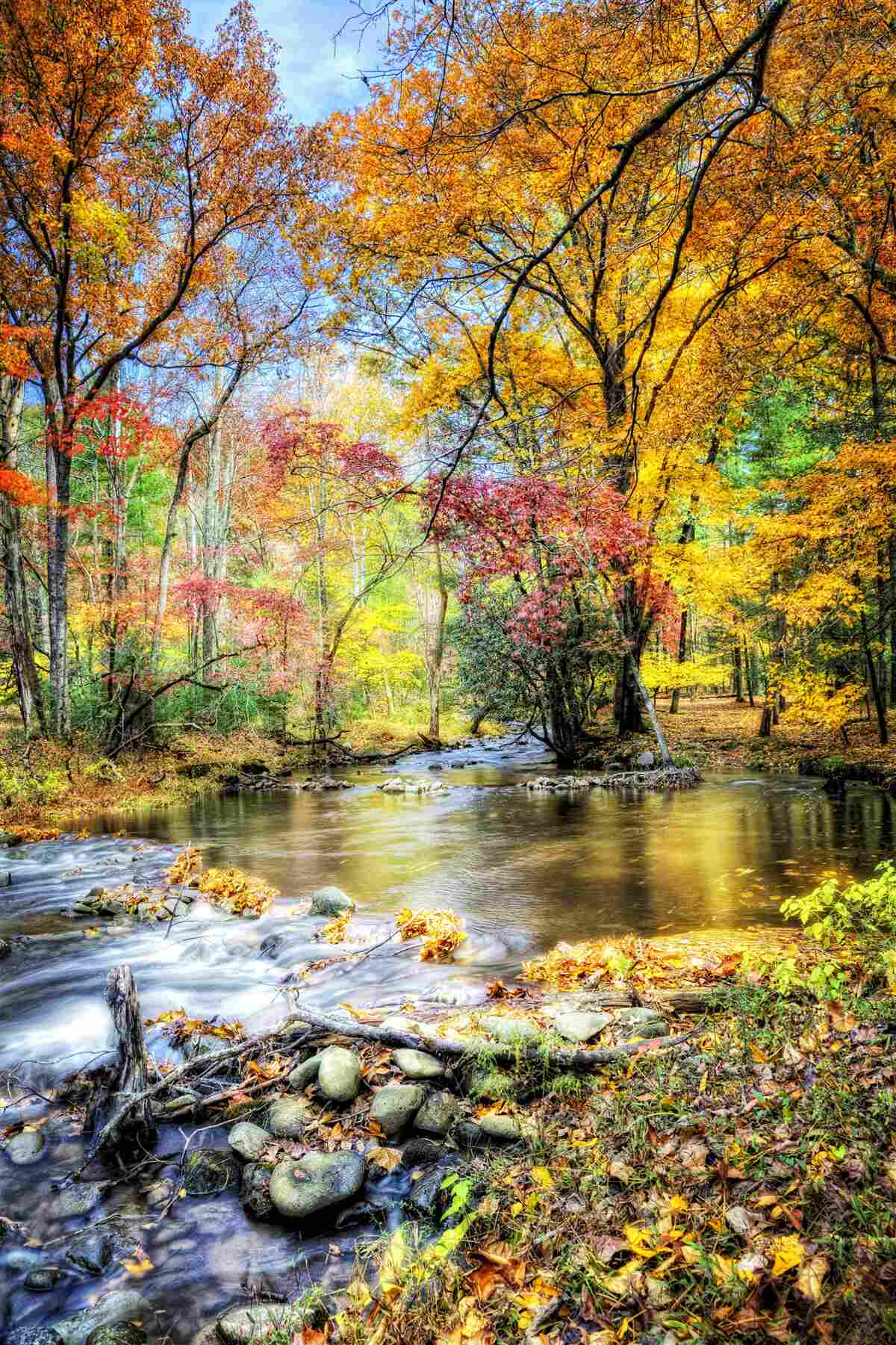 Papier peint forêt en automne et rivière en montagne