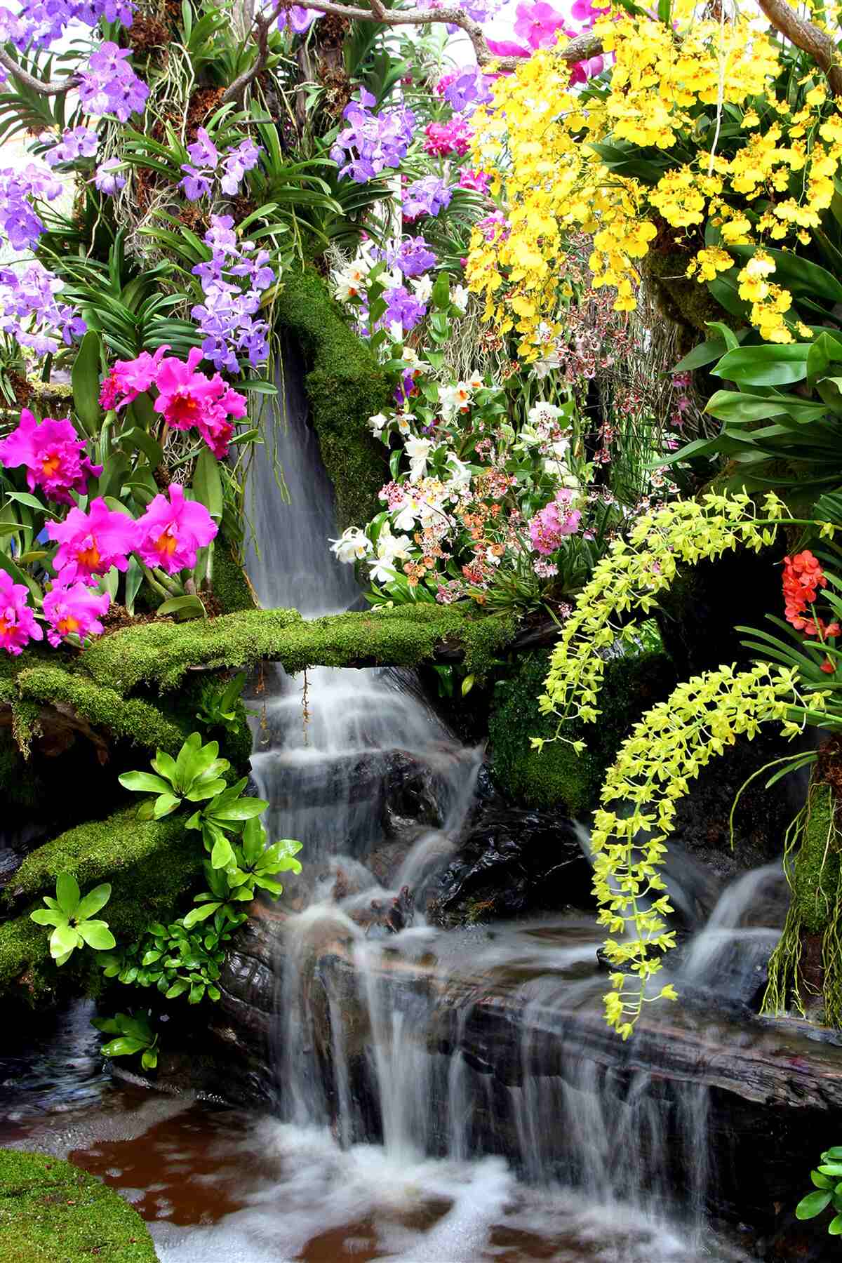 Papier peint une cascade d'eau parmi de riches nuances de fleurs