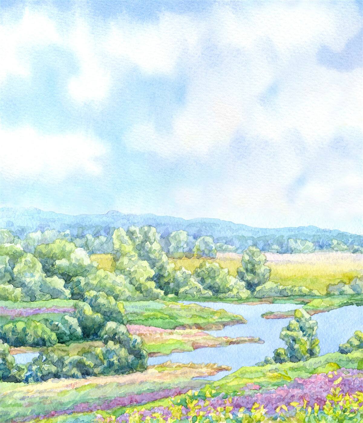 Papier peint une journée ensoleillée dans une prairie pleine de plantes à fleurs