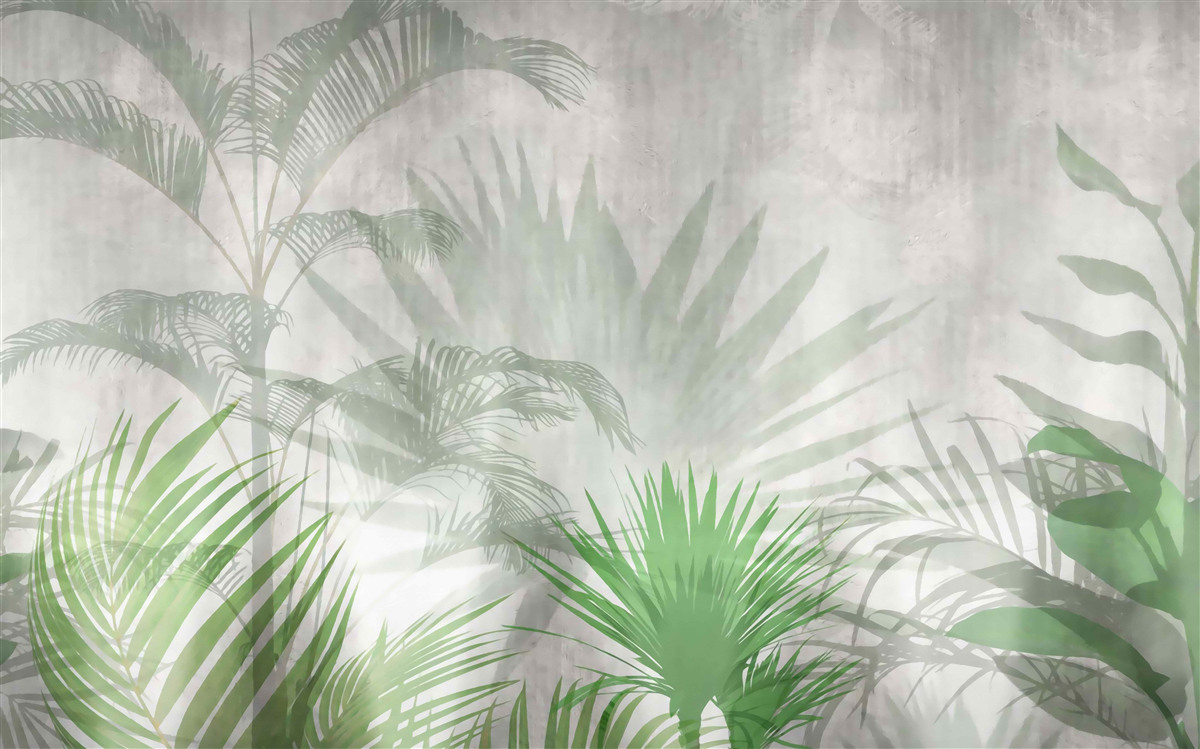 Papier peint fougères tropicales sous la pluie
