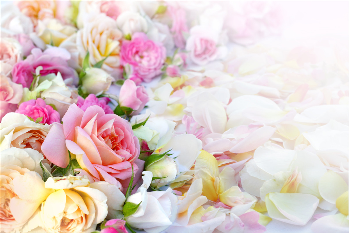 Papier peint bouquet de fleurs d'été luxuriantes