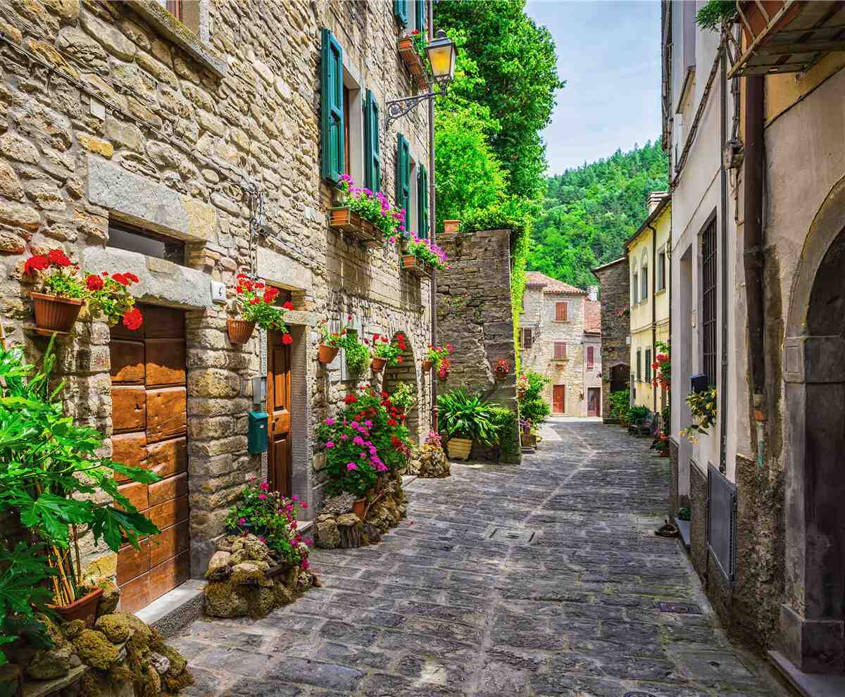 Papier peint vieille rue en pierre de la ville, entourée de verdure