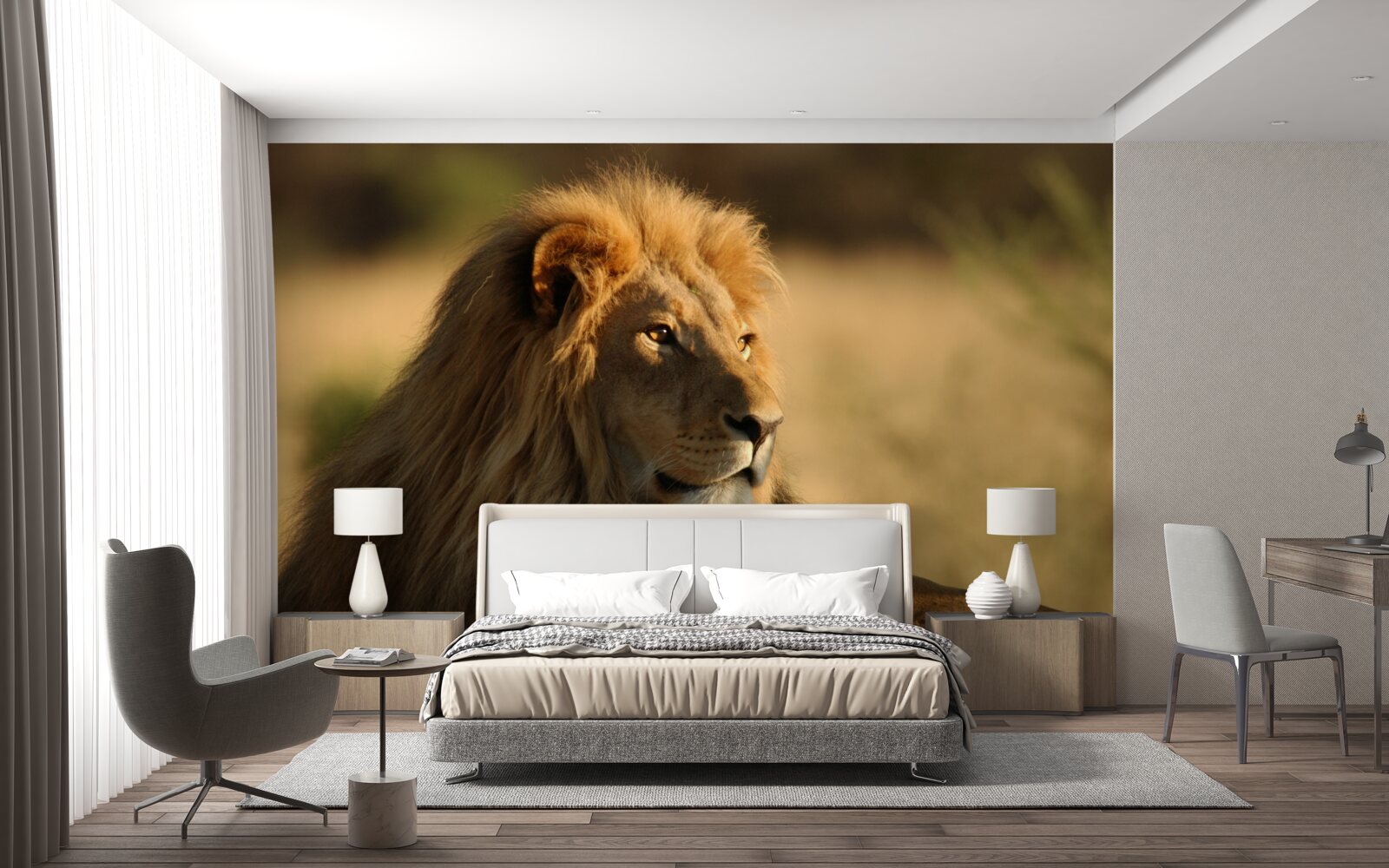 Papier peint le lion adulte chasse sa proie