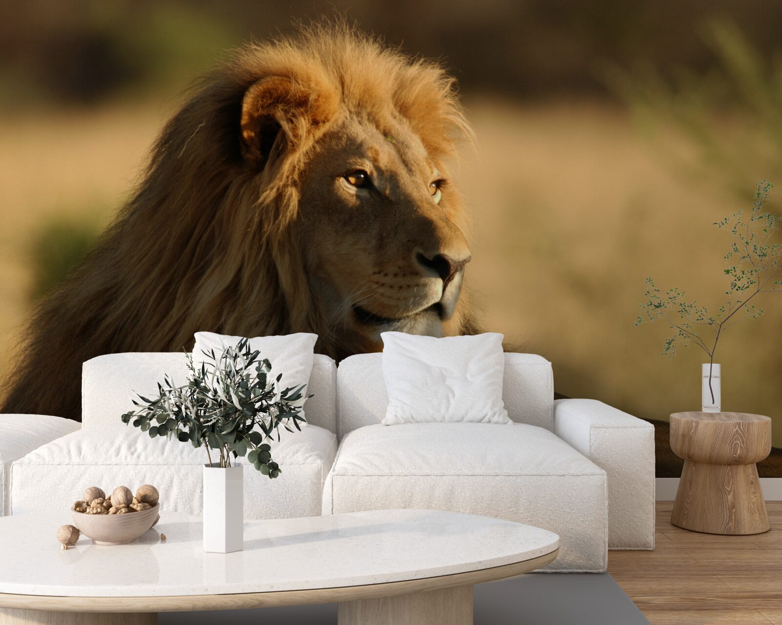 Papier peint le lion adulte chasse sa proie