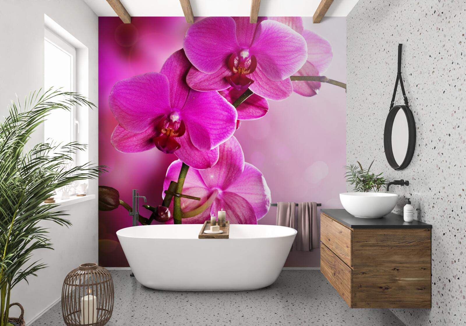 Papier peint une gracieuse branche d'orchidée lilas au soleil
