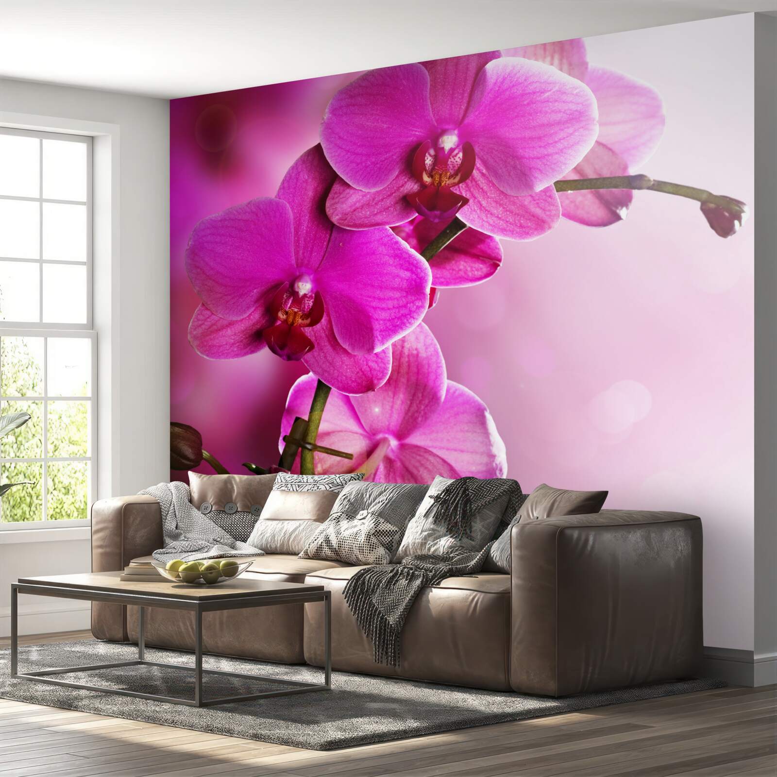Papier peint une gracieuse branche d'orchidée lilas au soleil