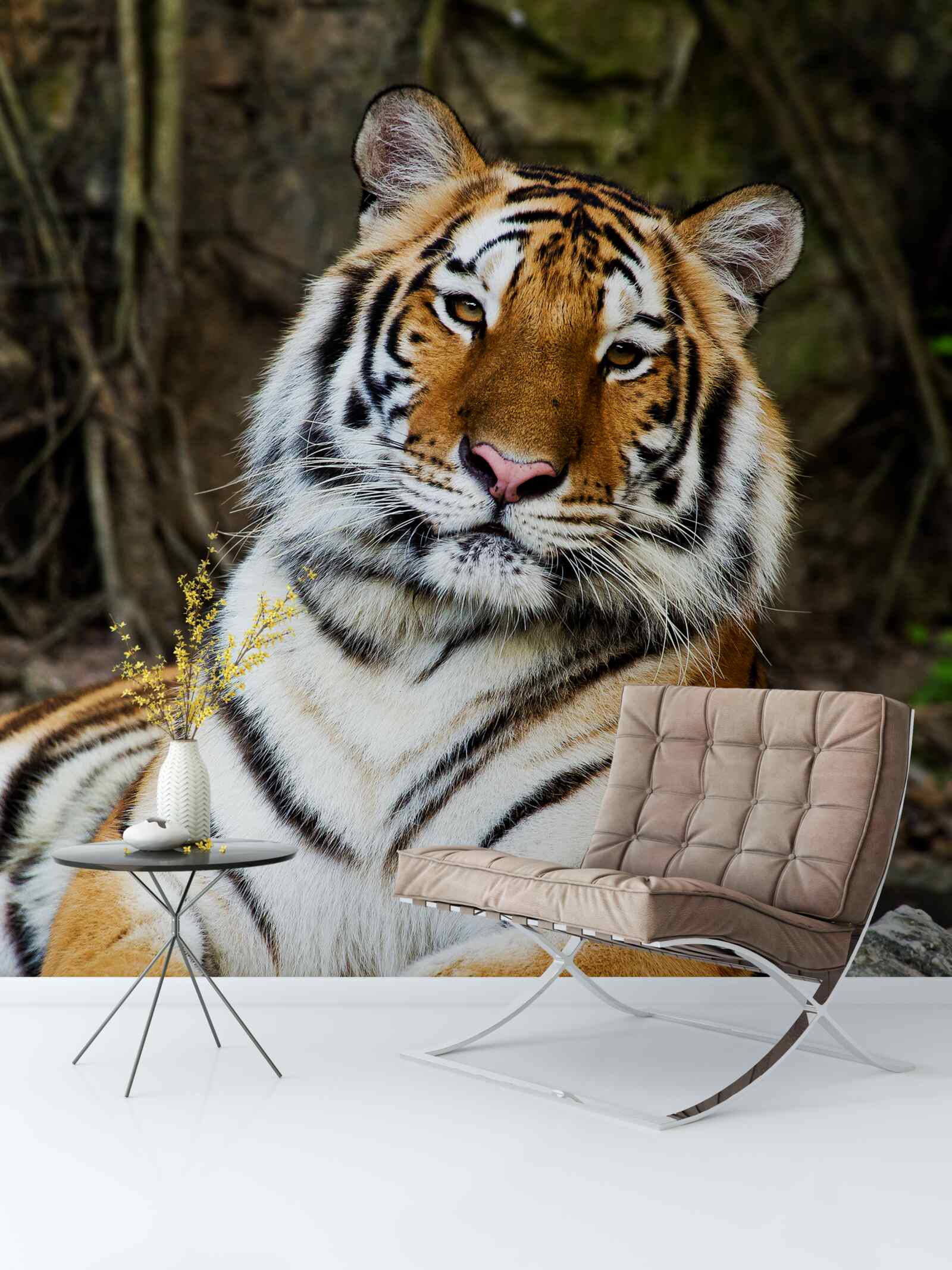 Papier peint grand tigre en vacances