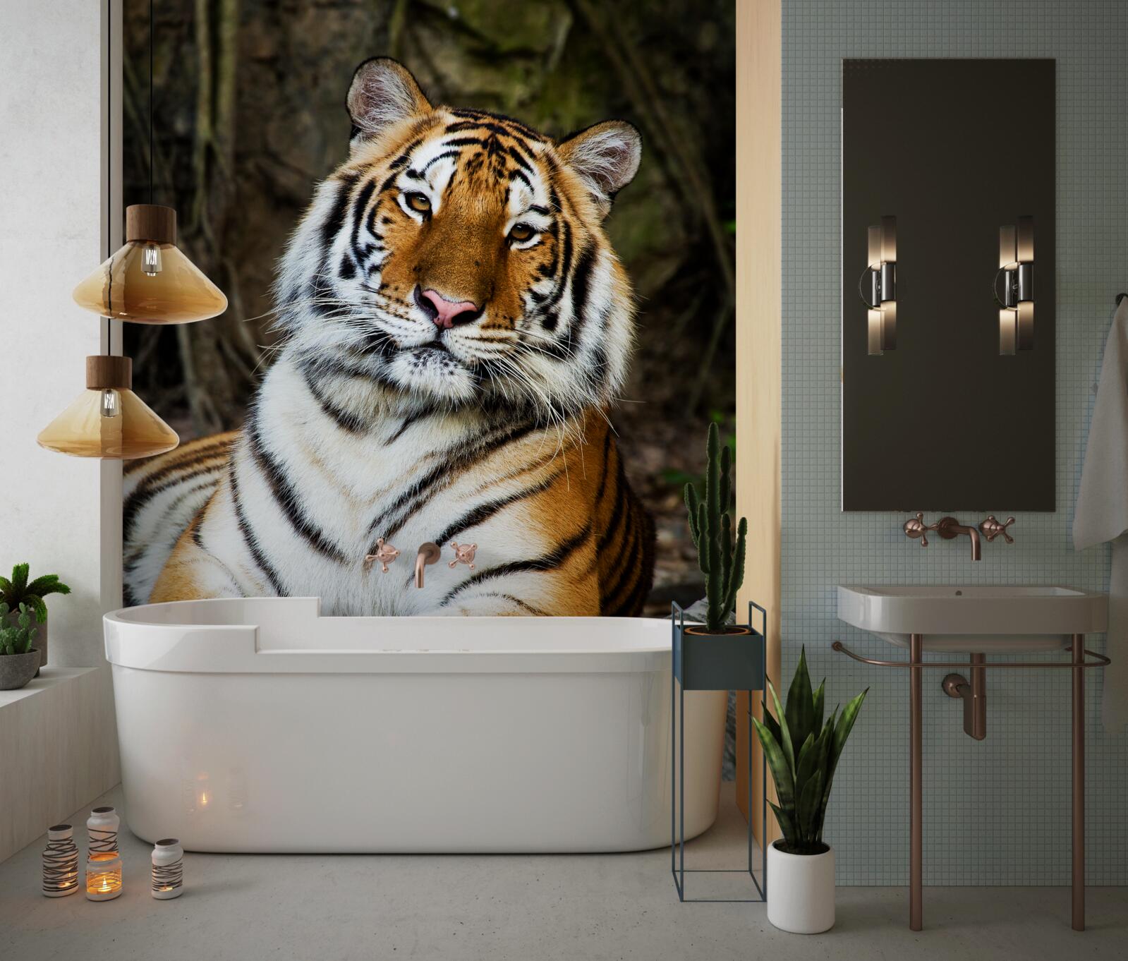 Papier peint grand tigre en vacances