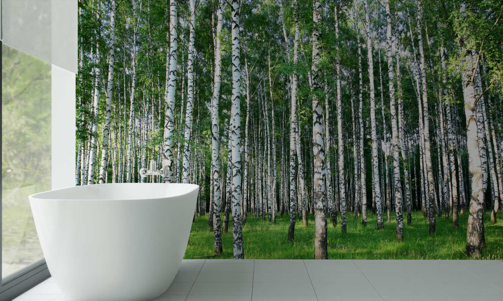 Papier peint les bouleaux élancés en décoration d'été