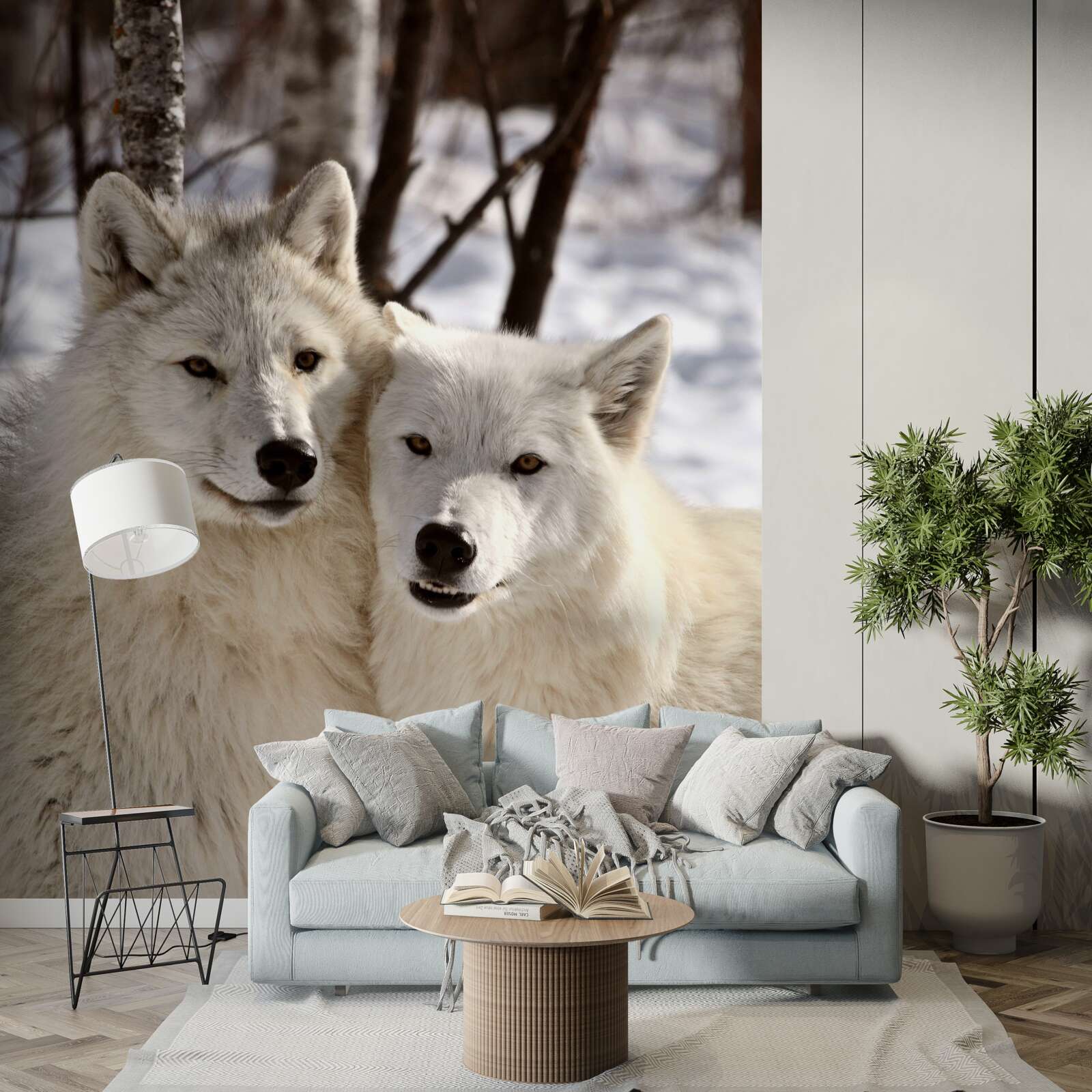 Papier peint une meute de loups blancs dans une forêt enneigée