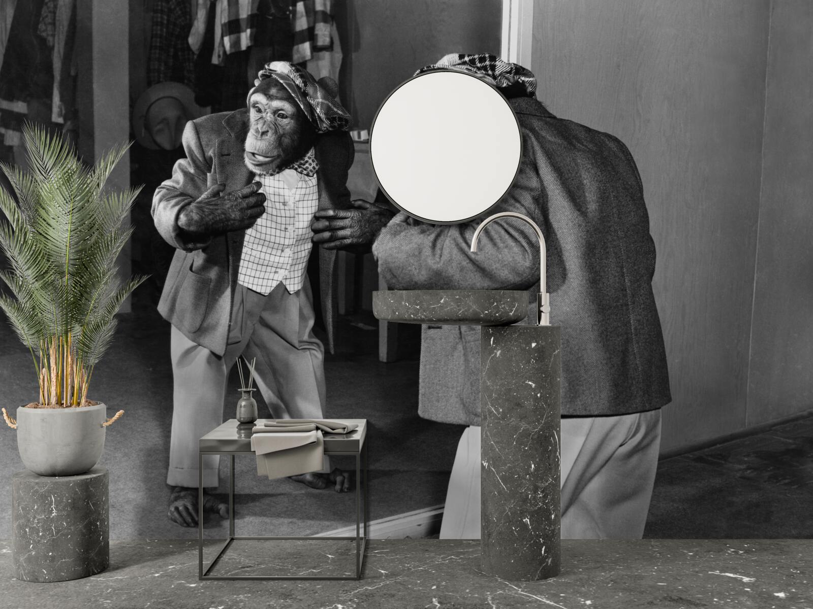 Papier peint singe habillé se regardant dans le miroir
