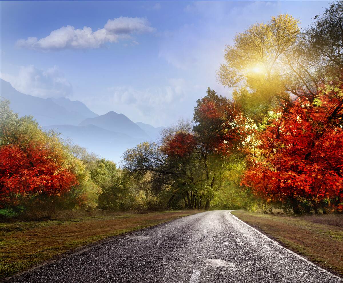 Papier peint route forestière d'automne sous la pluie