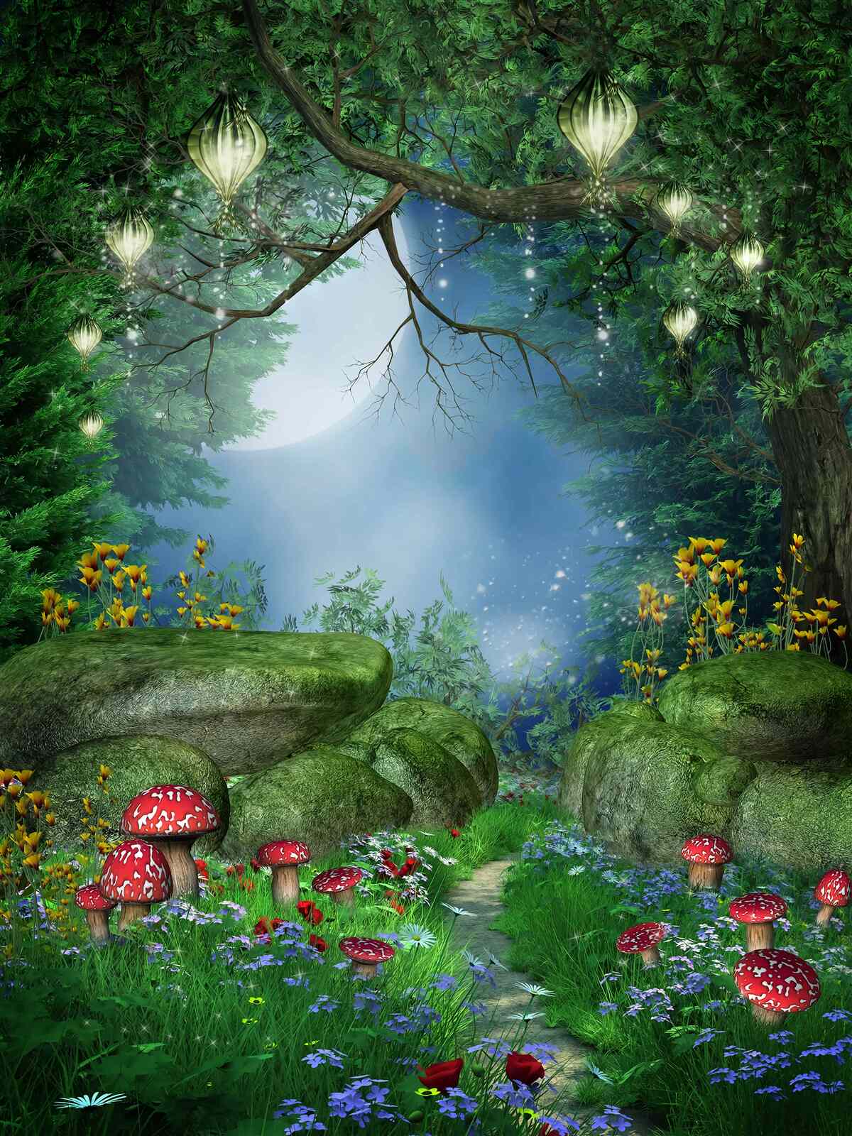 Papier peint chemin magique de la nuit
