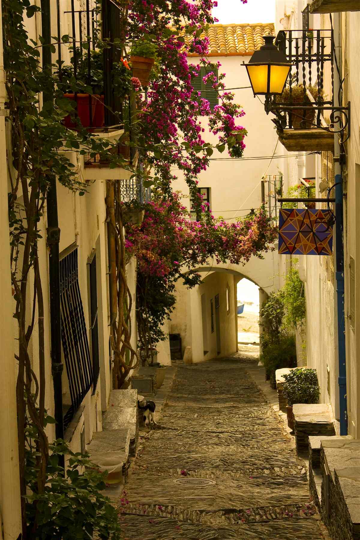 Papier peint rue ancienne entourée de fleurs et de soleil