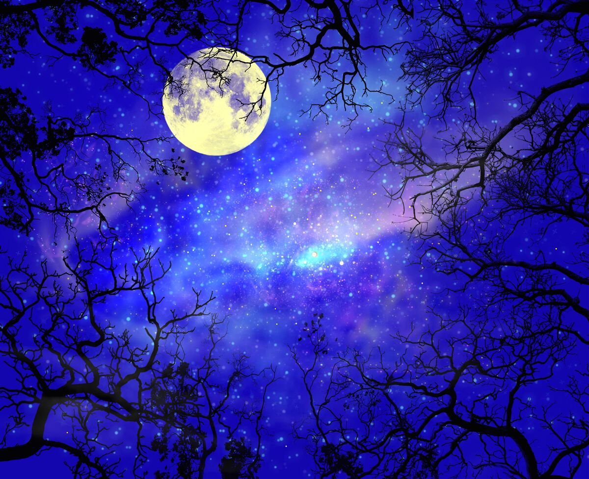 Papier peint le clair de lune illumine le ciel étoilé