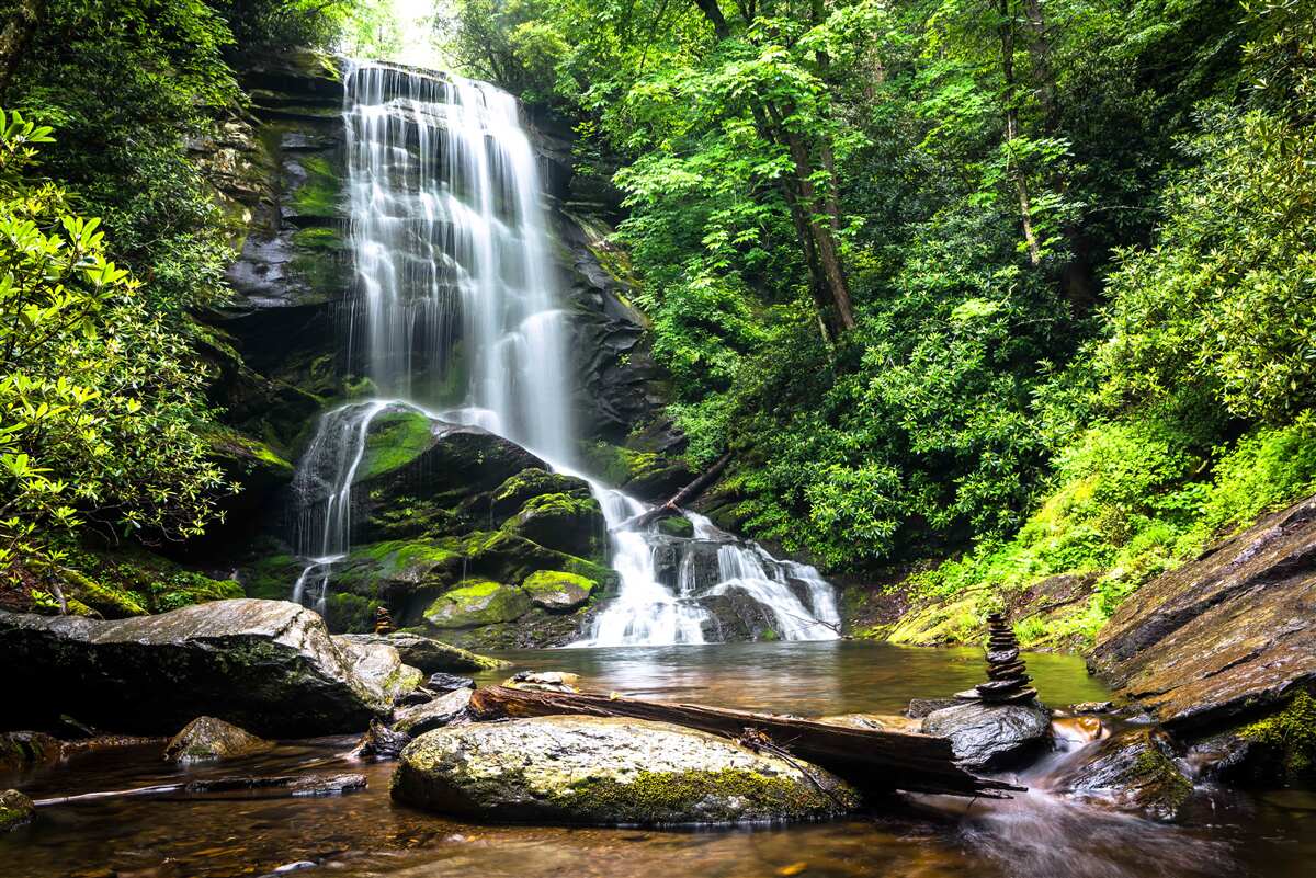 Papier peint haute cascade dans une forêt de feuillus