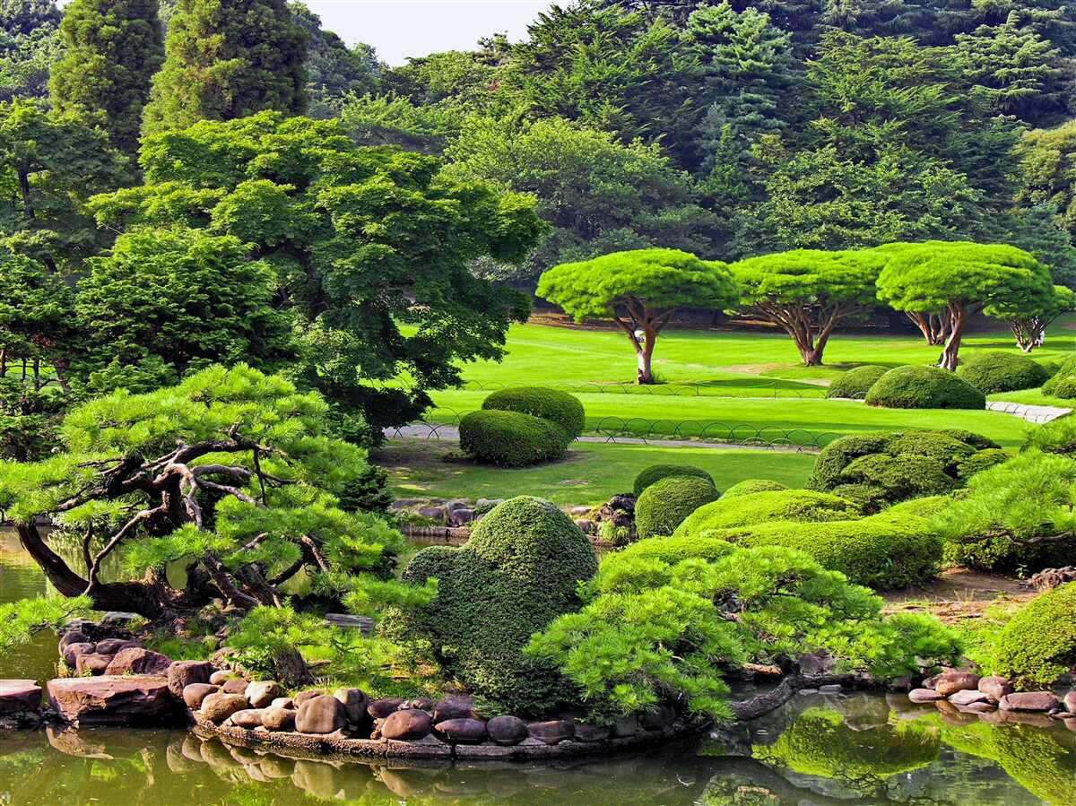 Papier peint des jardins couverts de verdure en été