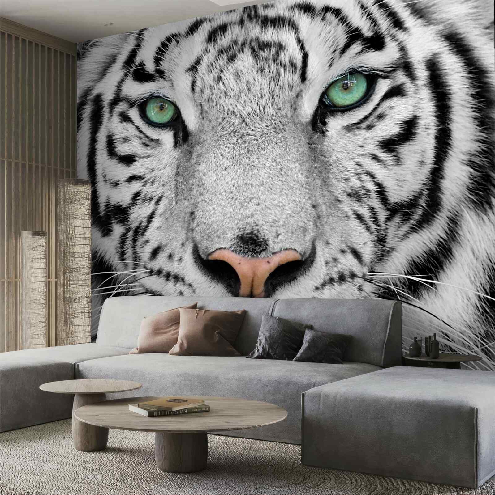 Papier peint tigre blanc aux yeux verts