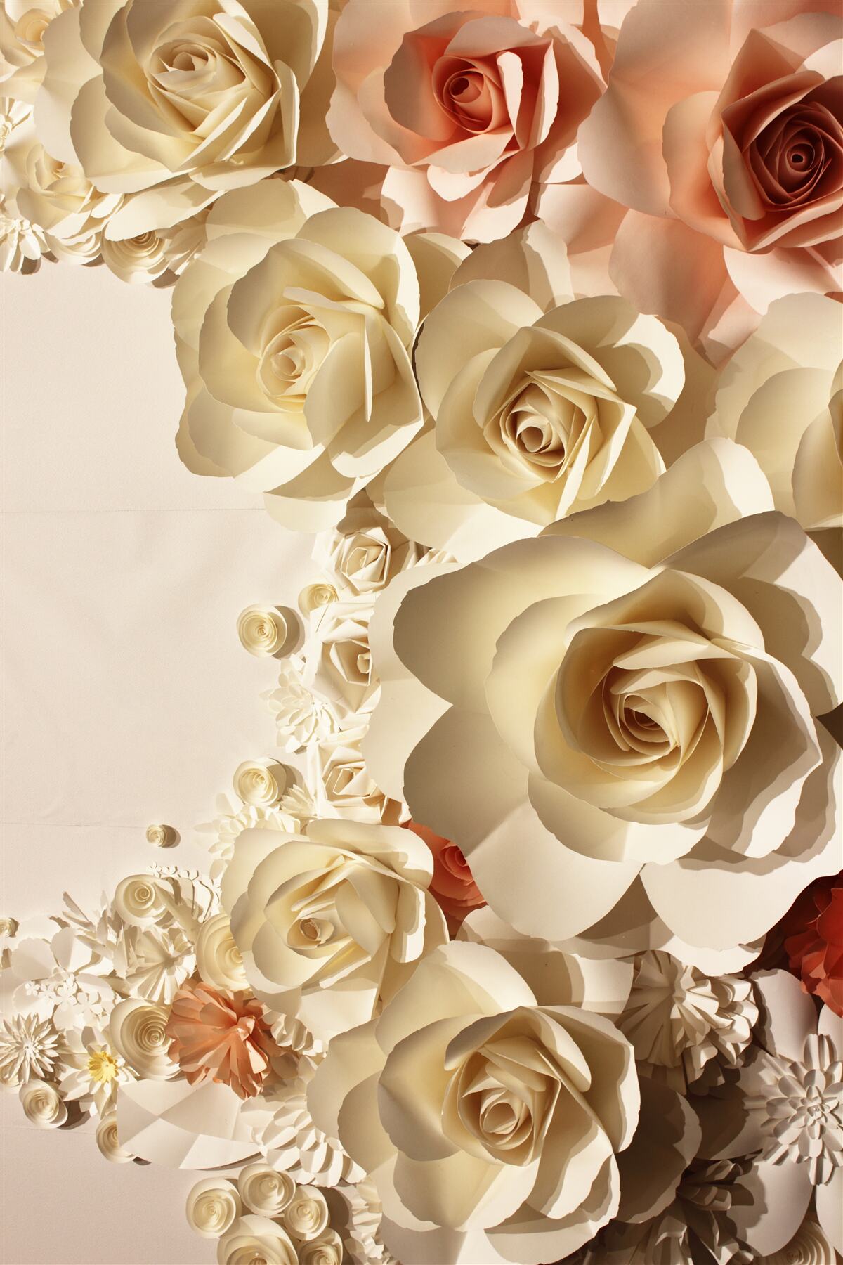 Papier peint fleurs de gypse blanches et roses