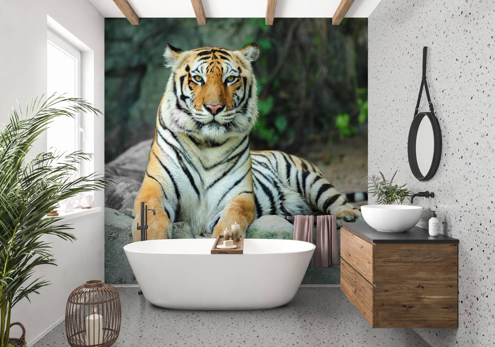 Papier peint tigre posant sur un rocher