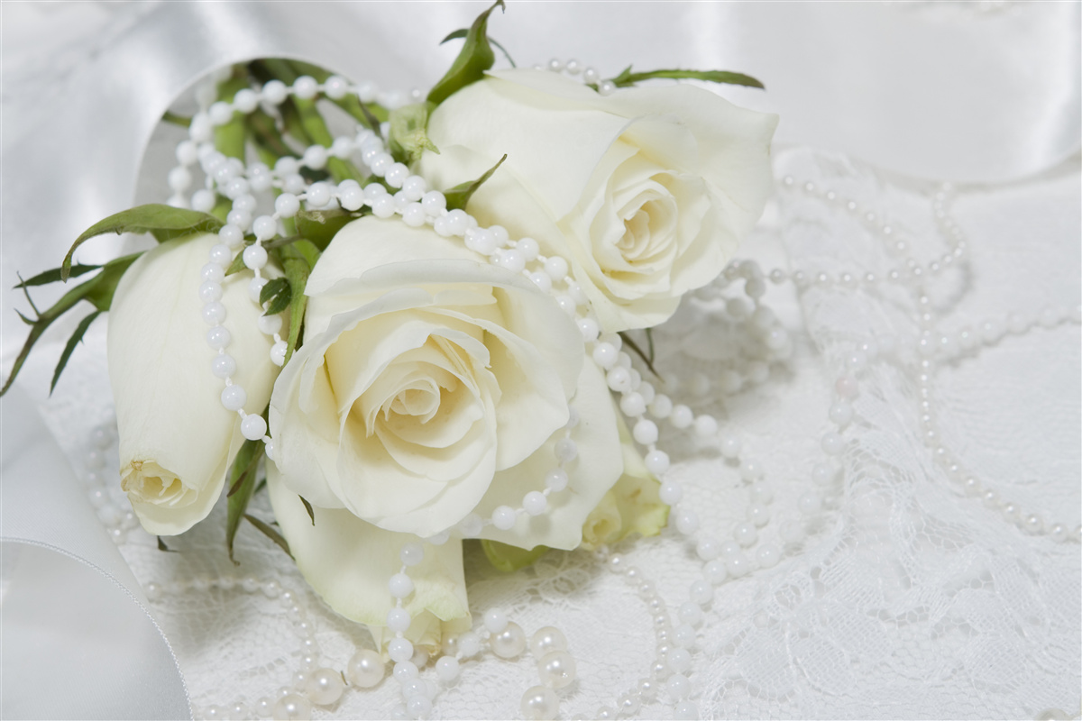 Papier peint composition de roses blanches avec perles